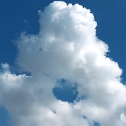 Steadify Programmbild