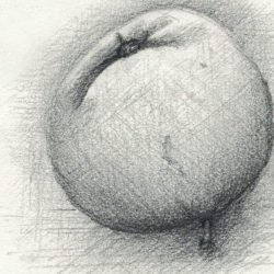 Illustrierter Apfel, Bleistiftzeichnung