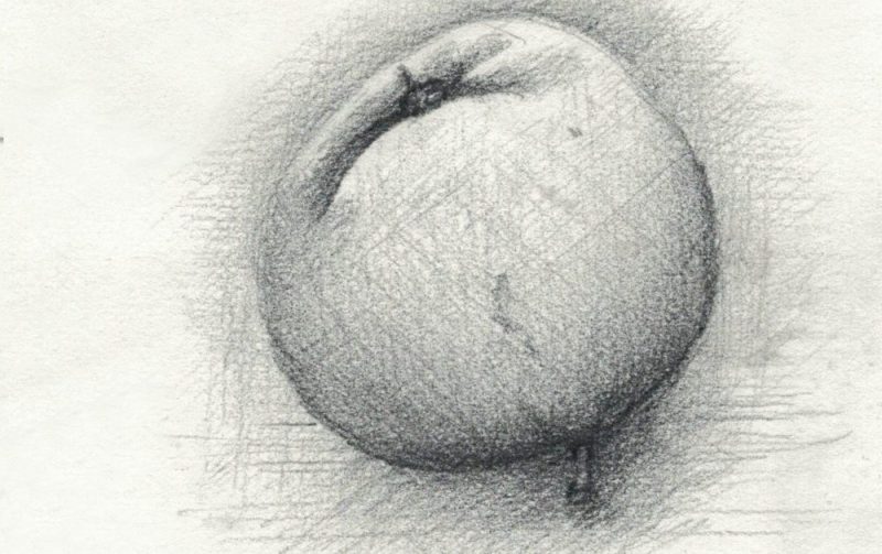 Illustrierter Apfel, Bleistiftzeichnung